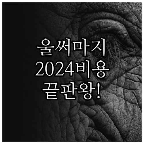 울쎄라 써마지 복합 시술 효과 및 2..