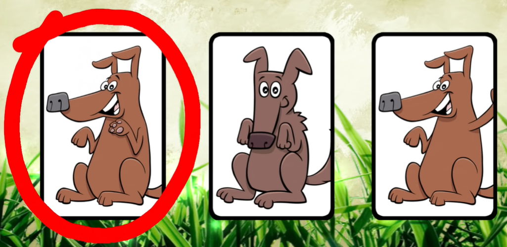 같은 그림 찾기 정답