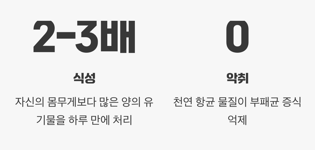 자연의 가장 위대한 청소부