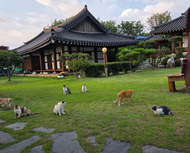 한국기행-외달도한옥민박