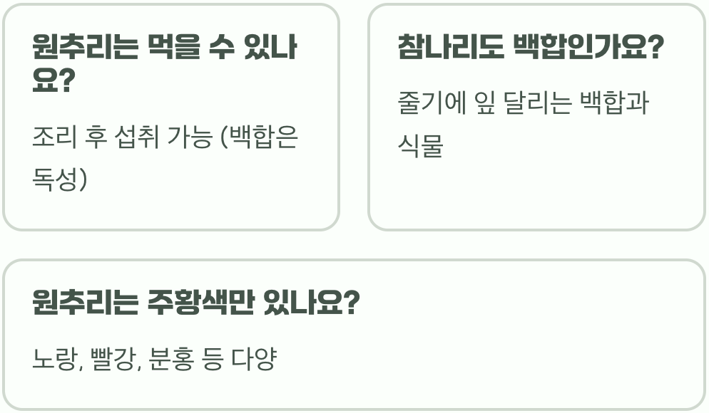 원추리는 백합이 아니라고? 꽃과 잎 모양으로 1초 만에 구별하는 결정적 차이
