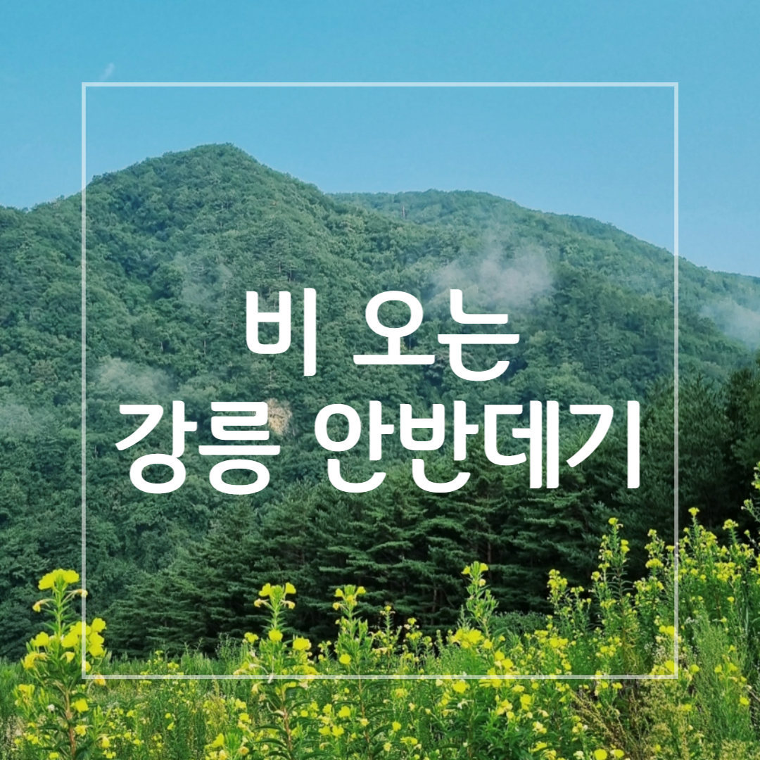 안반데기_드라이브사진