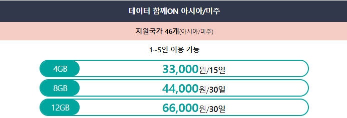 로밍
