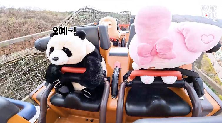 에버랜드 연간회원권