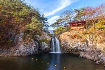 상주 가볼만한곳 맛집 추천 카페 겨울 베스트 10_9