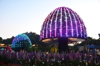 함평 나비축제 &amp;#124; 기간 입장료 초대가수 황금박쥐 주차장