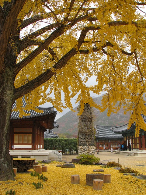 계절별 사찰 전통축제에 관한 사진