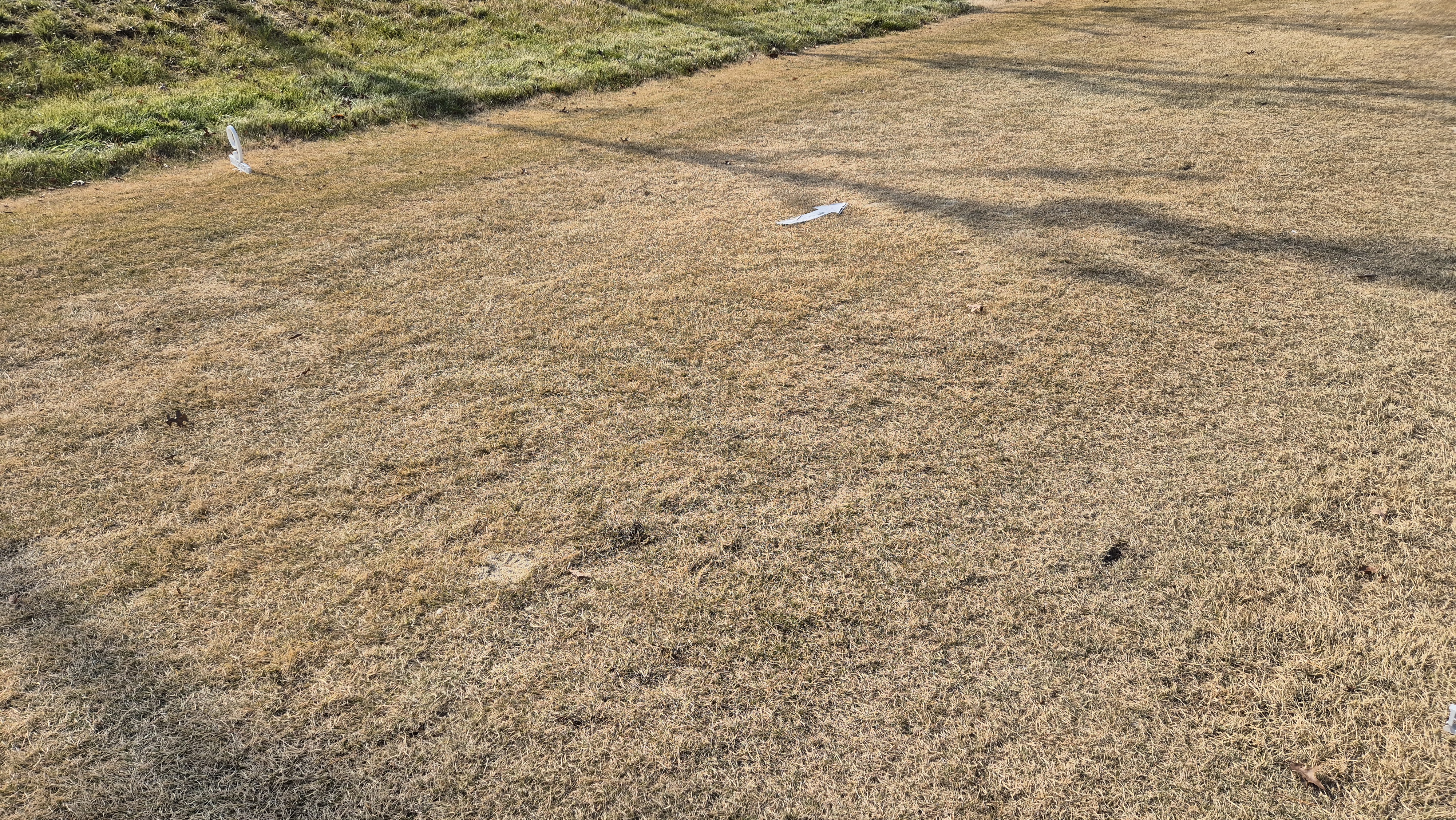 힐데스하임 레이크-힐 코스 티잉구역 상태