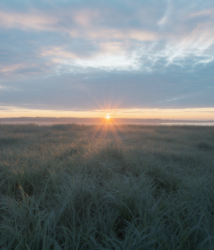 대사증후군이란