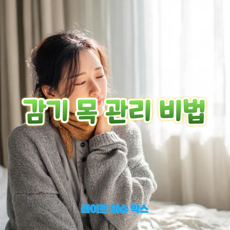 감기 목 관리 비법