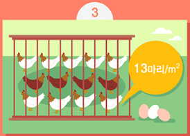 달걀 난각번호 확인 개선케이지 3