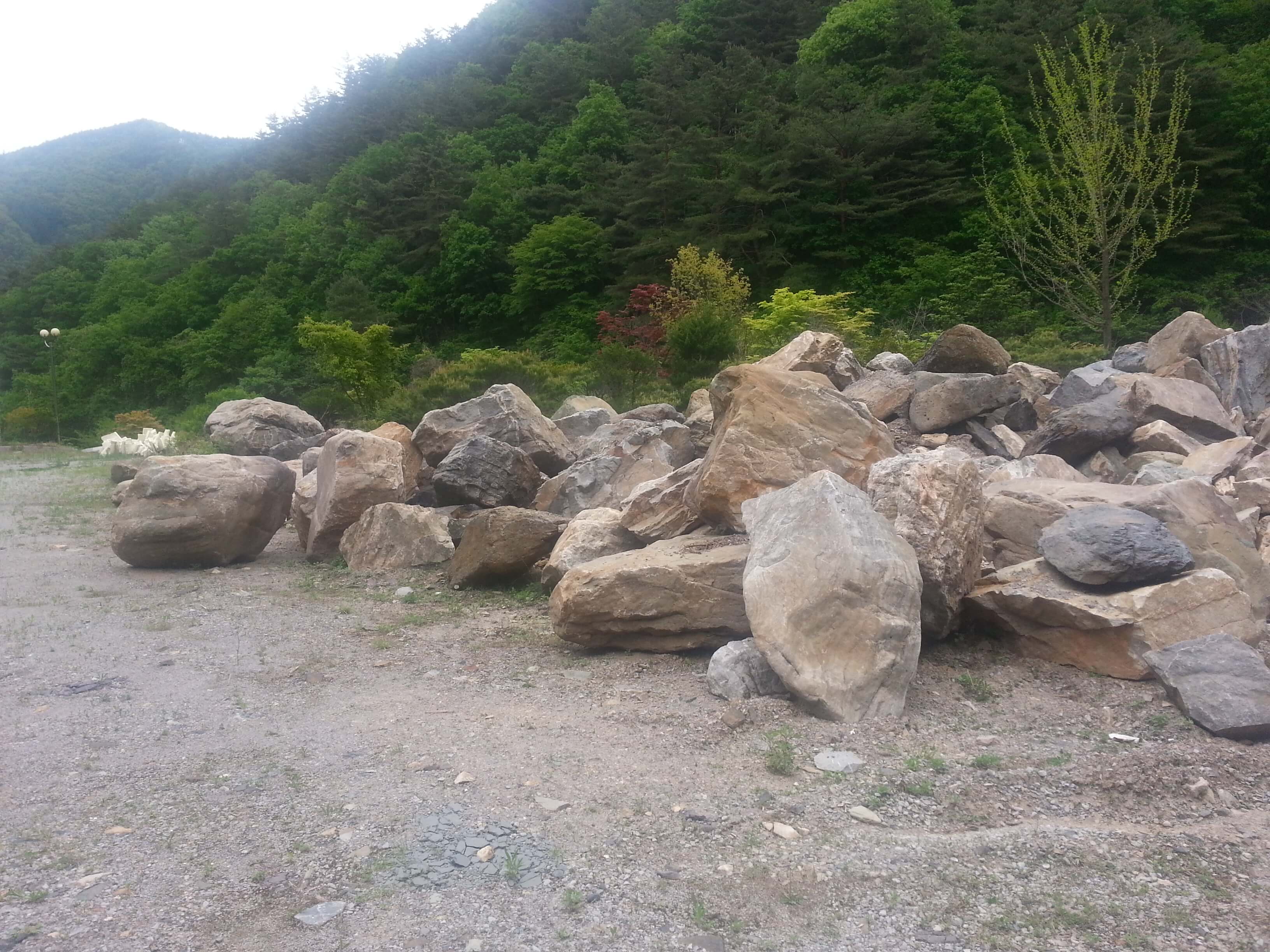 자연조경석