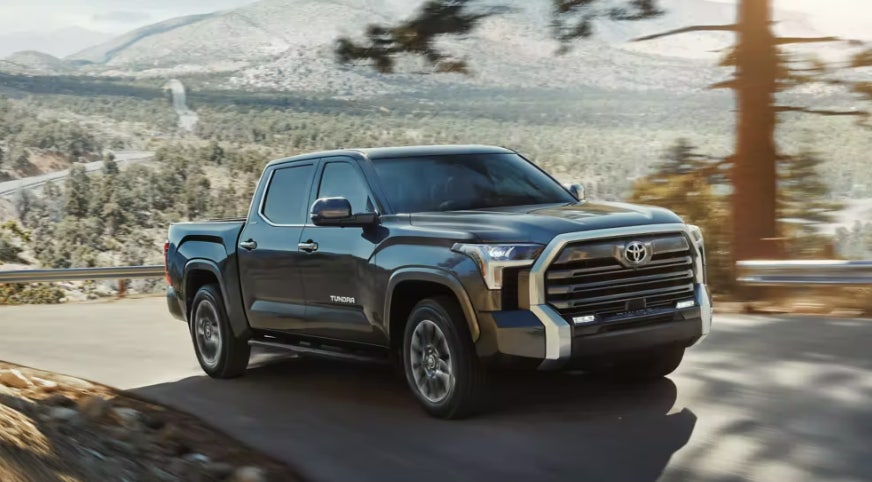 툰드라 하이브리드