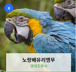 전주동물원