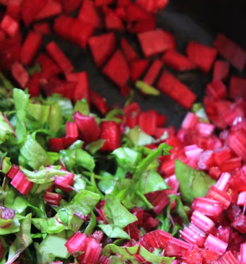 비트 효능 및 부작용 먹는 방법 칼로리 소변색