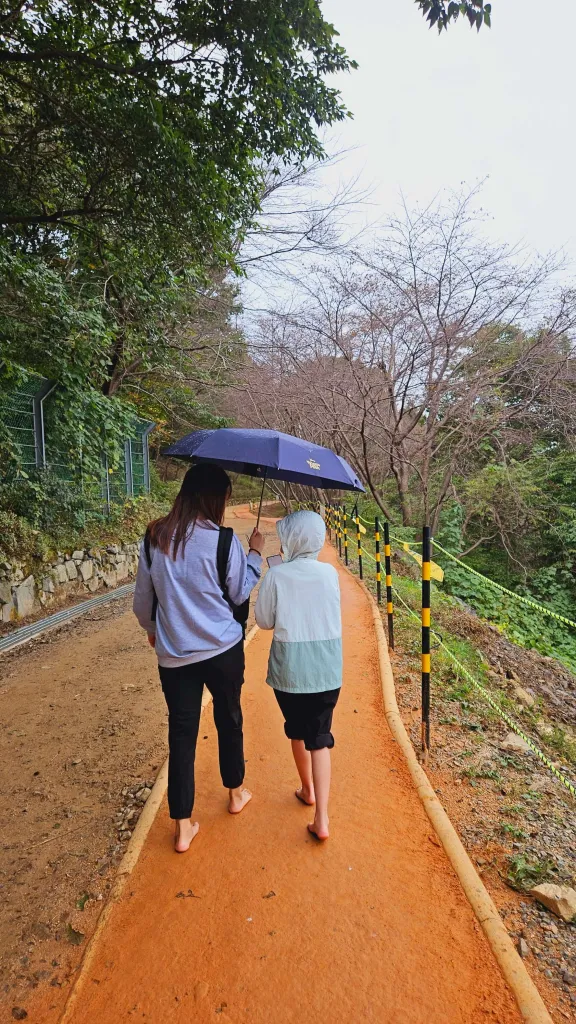 엄광산 맨발걷기