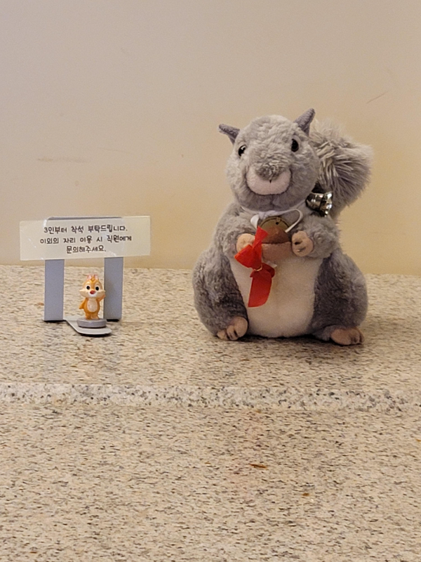 테이블 위 다람쥐