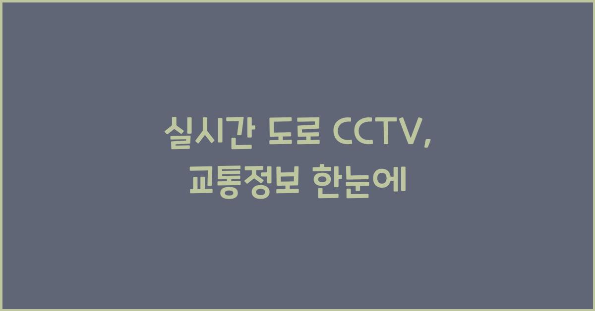 실시간 도로 cctv