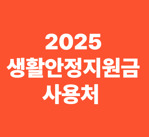 2025 전국민 생활안정지원금 사용처 총정리