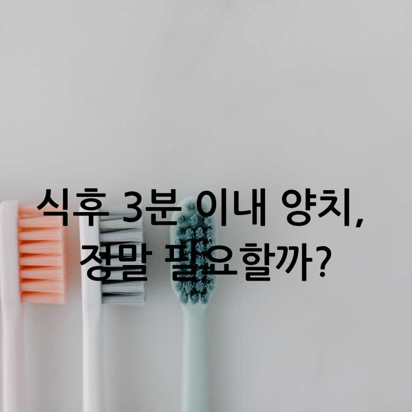이빨을 위한 건강한 양치질 방법 