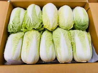 알배기 배추 물김치 담그는 법 및 보관 방법 총정리_14