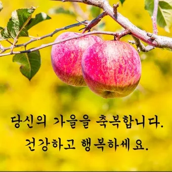 10월 인사말 예시 모음 영어_9