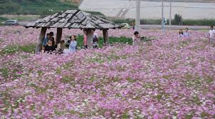 9월 가볼만한 곳 베스트