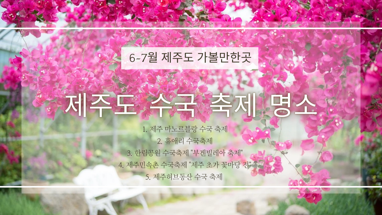 6월 7월 제주도 가볼만한곳, 제주도 수국 축제 명소 (서귀포, 제주시)