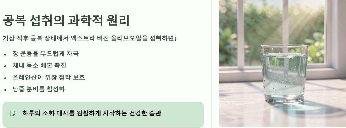 올리브오일 섭취방법