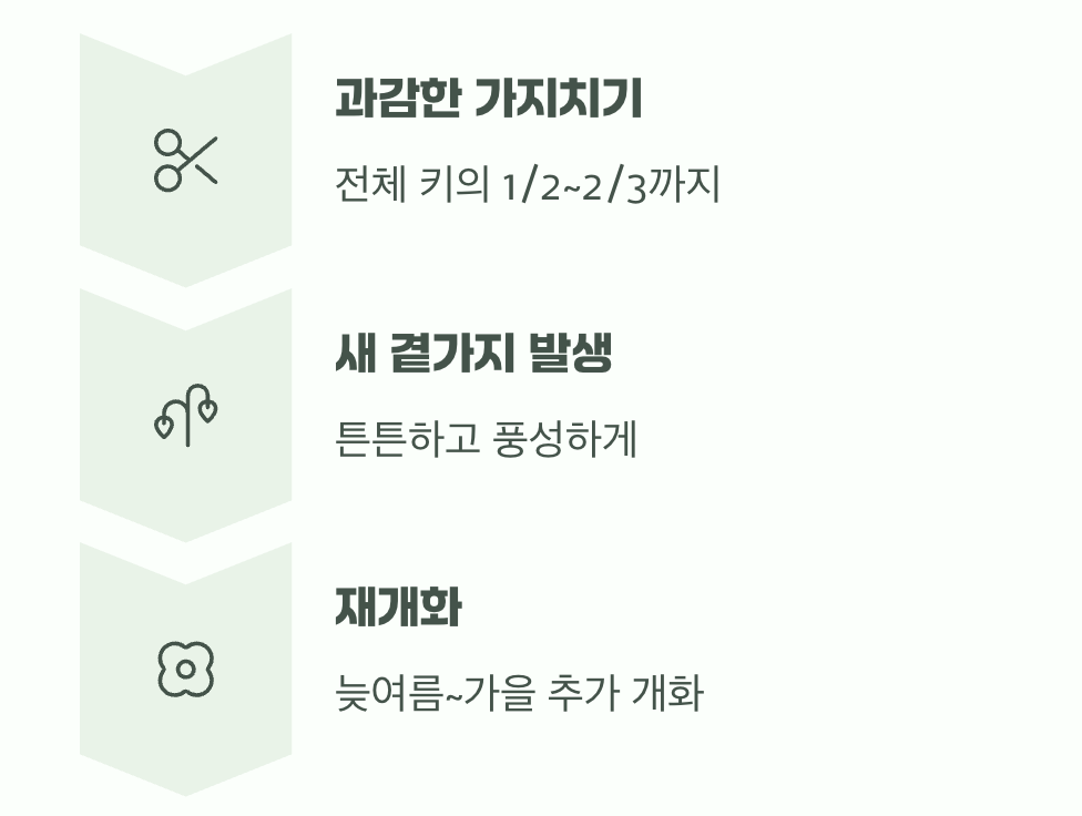 지저분함을 단정함으로, '장마철 이발'