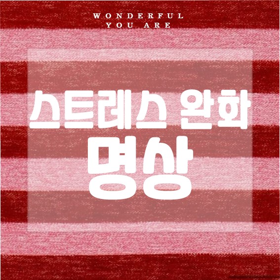 스트레스 완화 명상 완벽 정리: 방법과 실천 팁