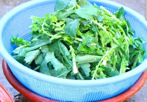 열무김치 손질하는 인포그래픽3