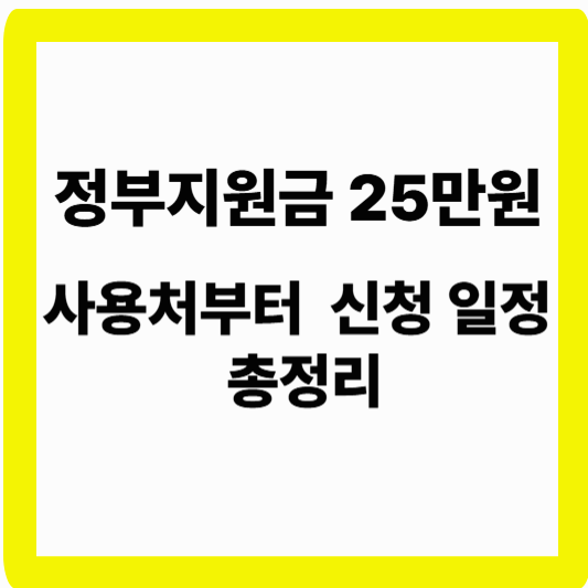 정부지원금 25만원