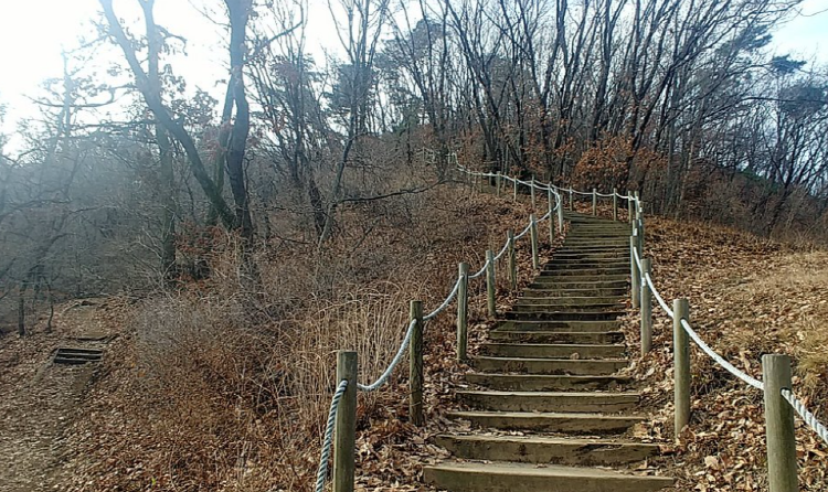 청계산 등산지도