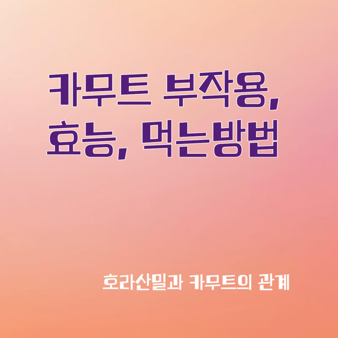 카무트 부작용, 효능, 먹는 방법