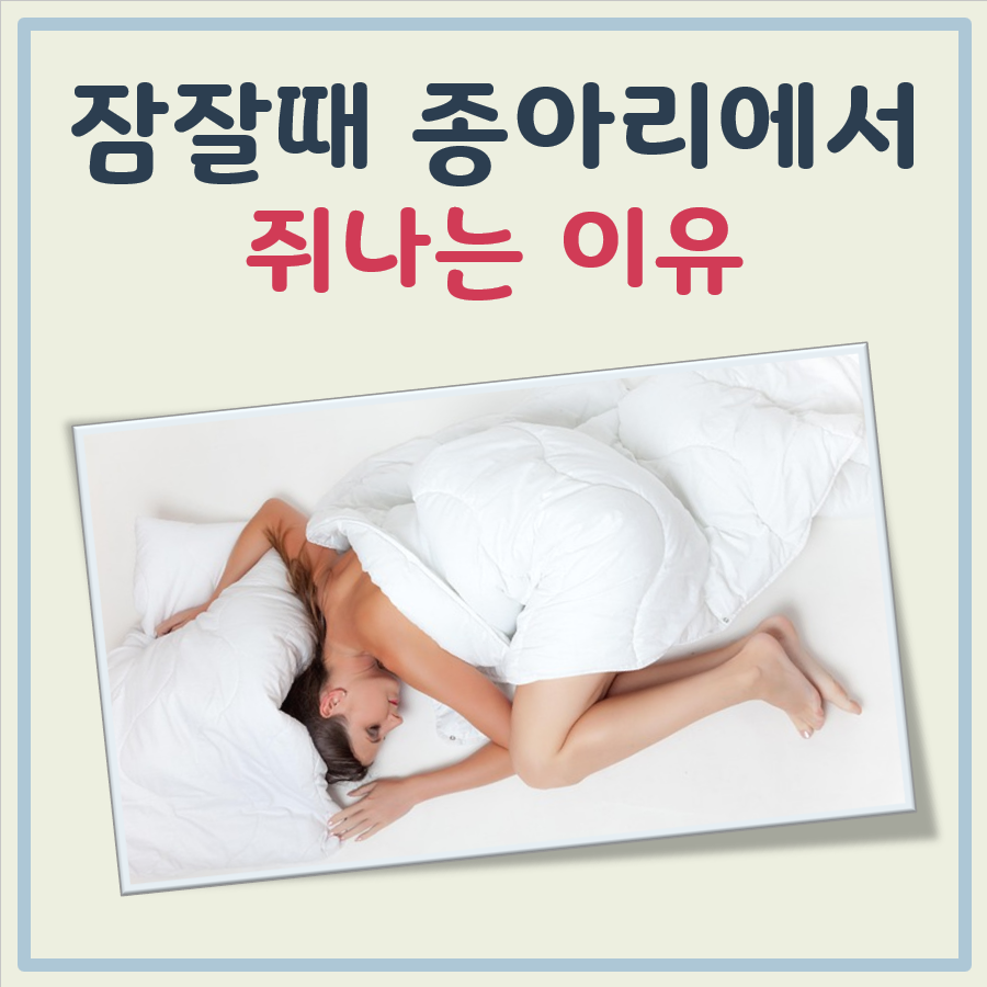 잠잘때 종아리에서 쥐나는 이유 대표 이미지