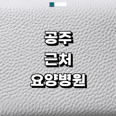 공주시 요양병원