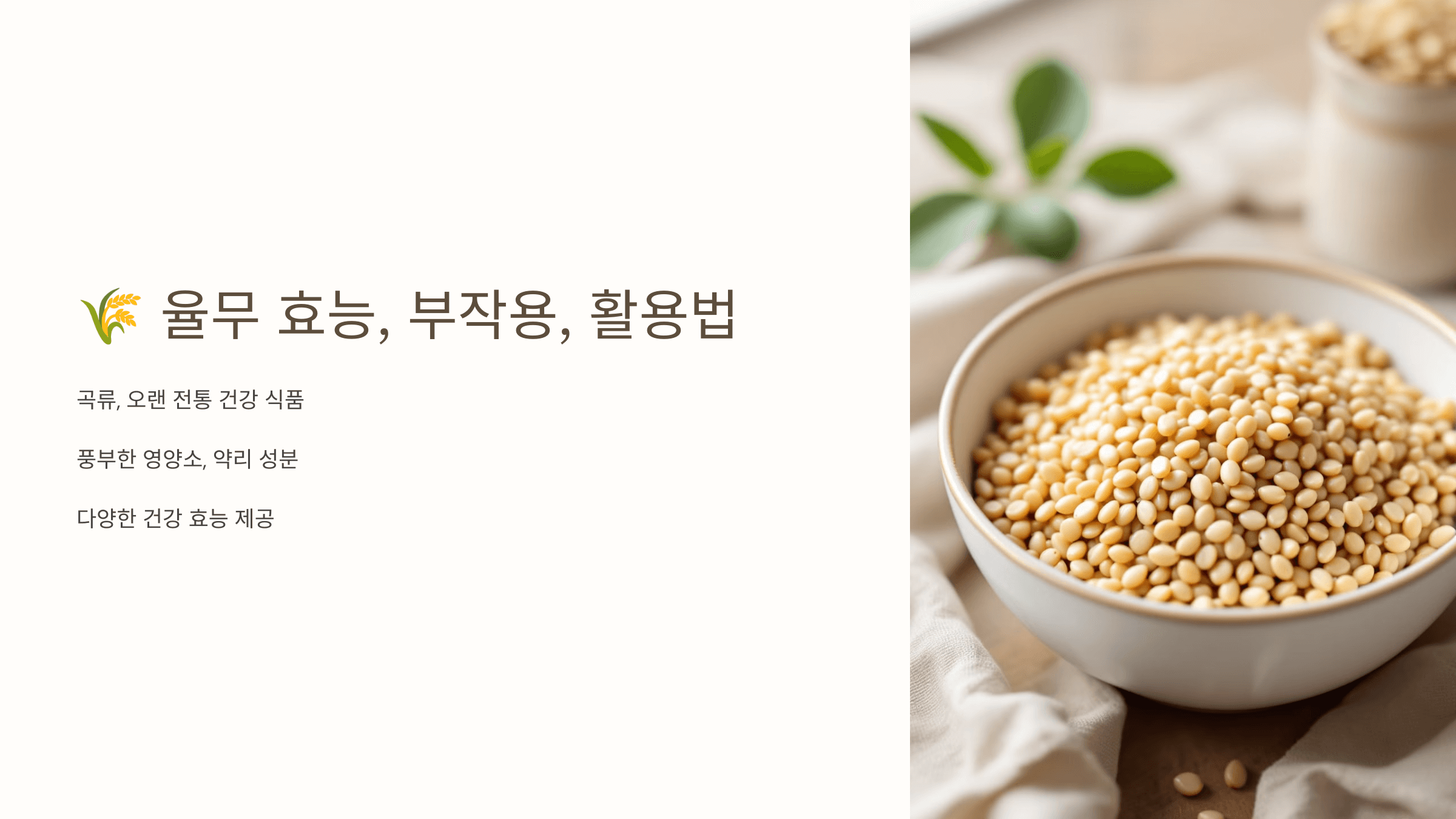 율무 사진입니다.