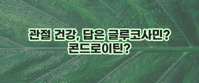 글루코사민과 콘드로이틴 효능 꼼꼼히 알아봅시다!