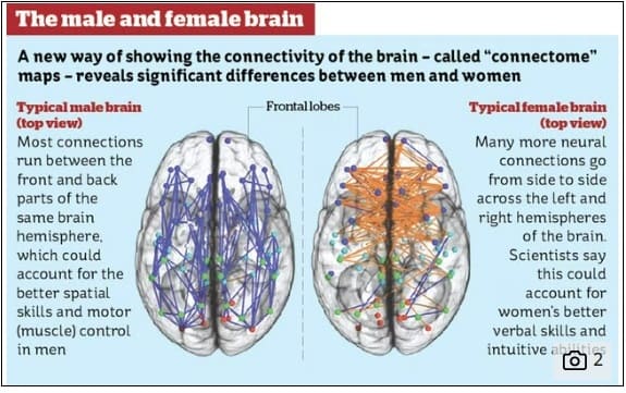 지피지기 '여자와 남자' VIDEO:The hardwired difference between male and female brains