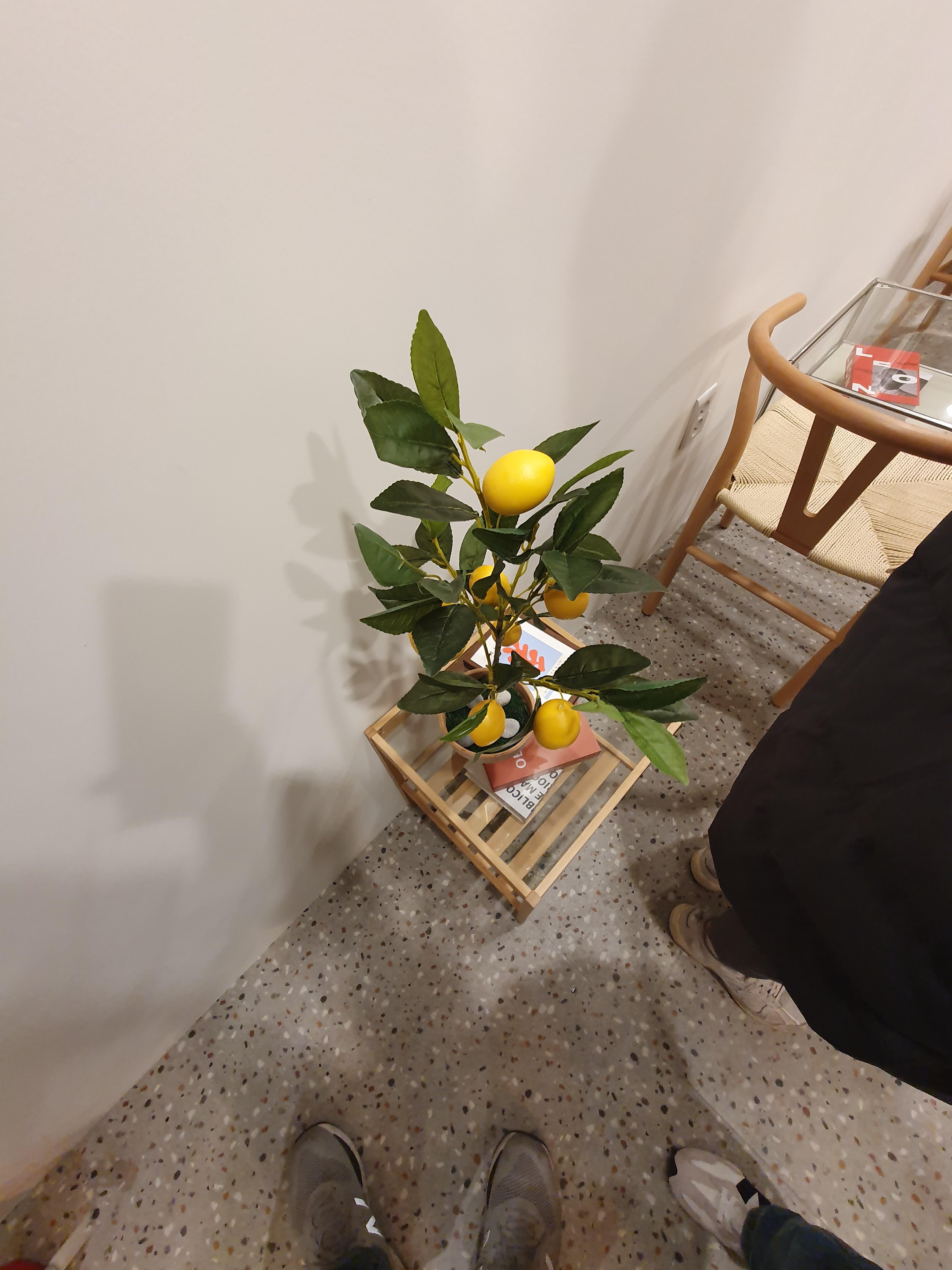 대전 무인 커피숍 카페인24 매장 실내 사진2