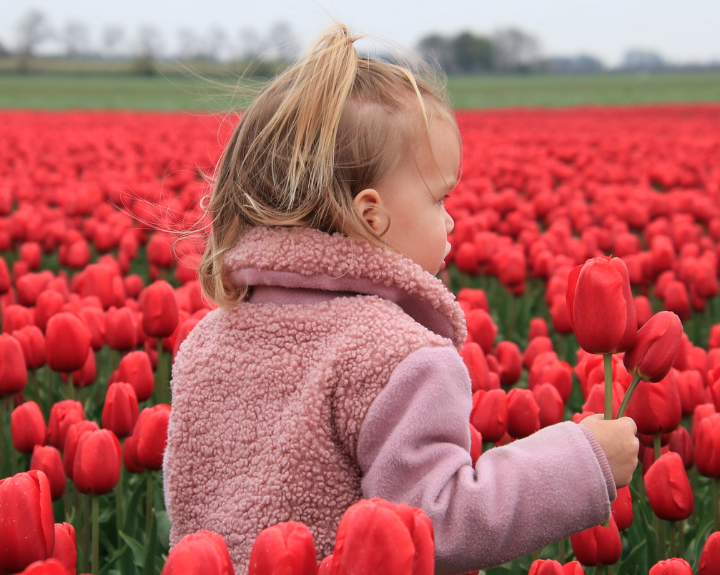 태안 세계 튤립 꽃박람회
