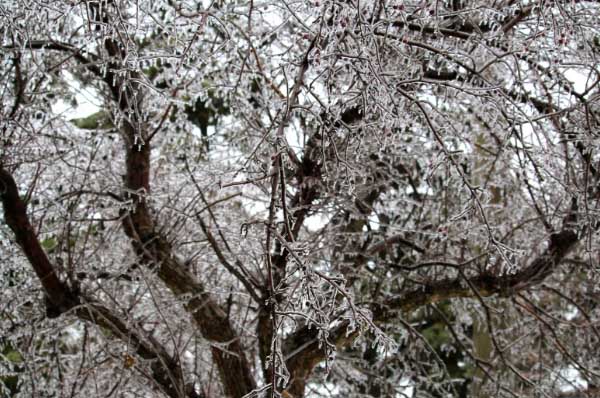 2025년 제주도 장마기간