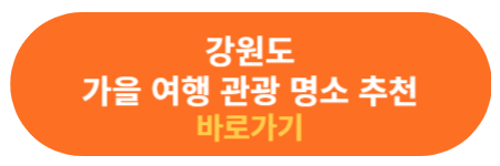 강원도 가을 여행지 확인