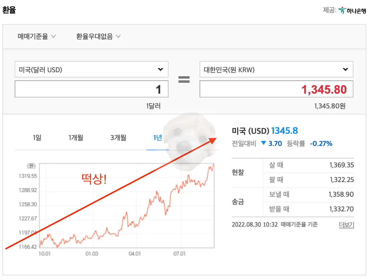 환율 사진