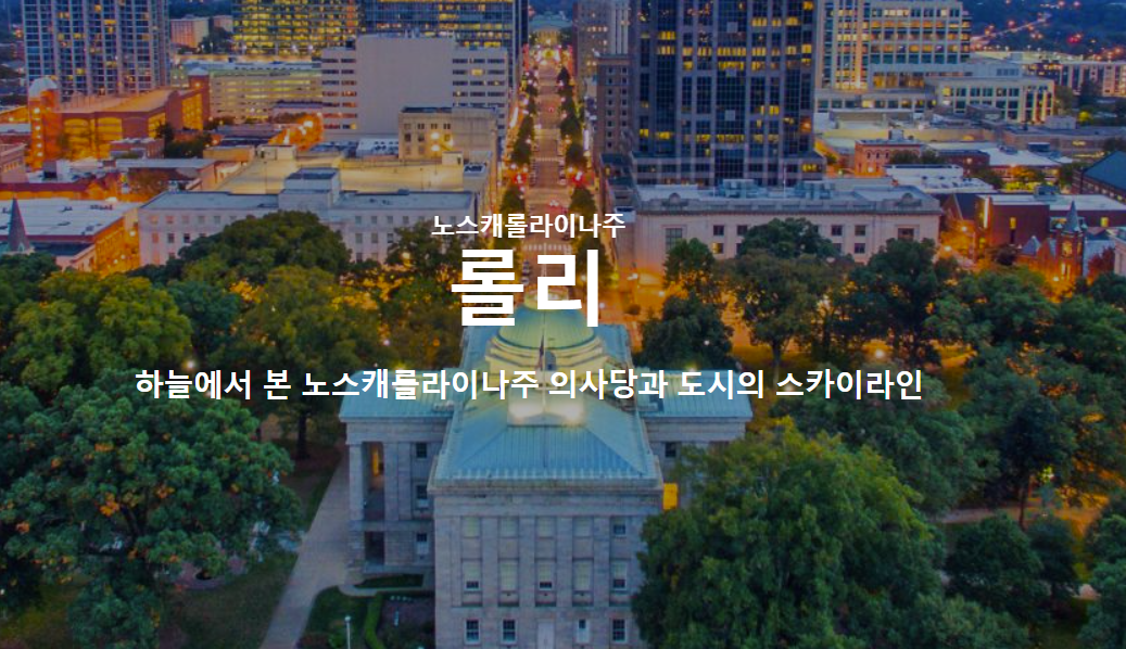 노스캐롤라이나 의사당 스카이라인