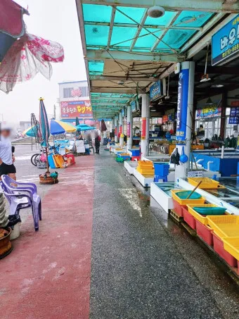묵호항 배시간표 배편 요금 예약_21