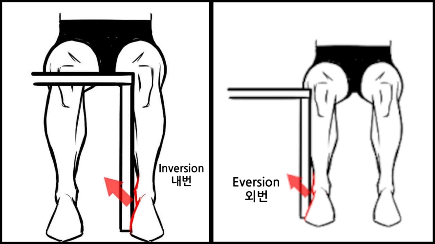 Inversion-Eversion-isometric