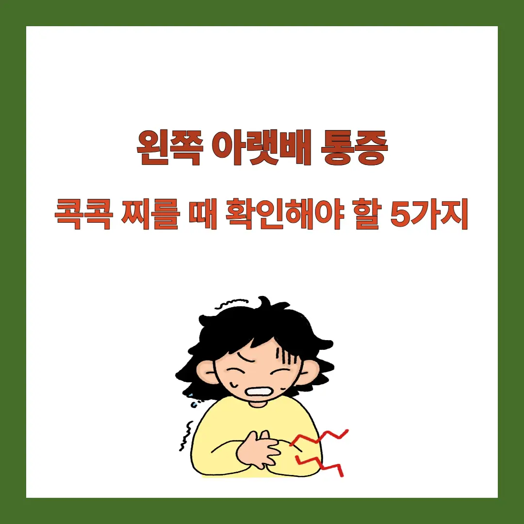 왼쪽-아랫배-통증