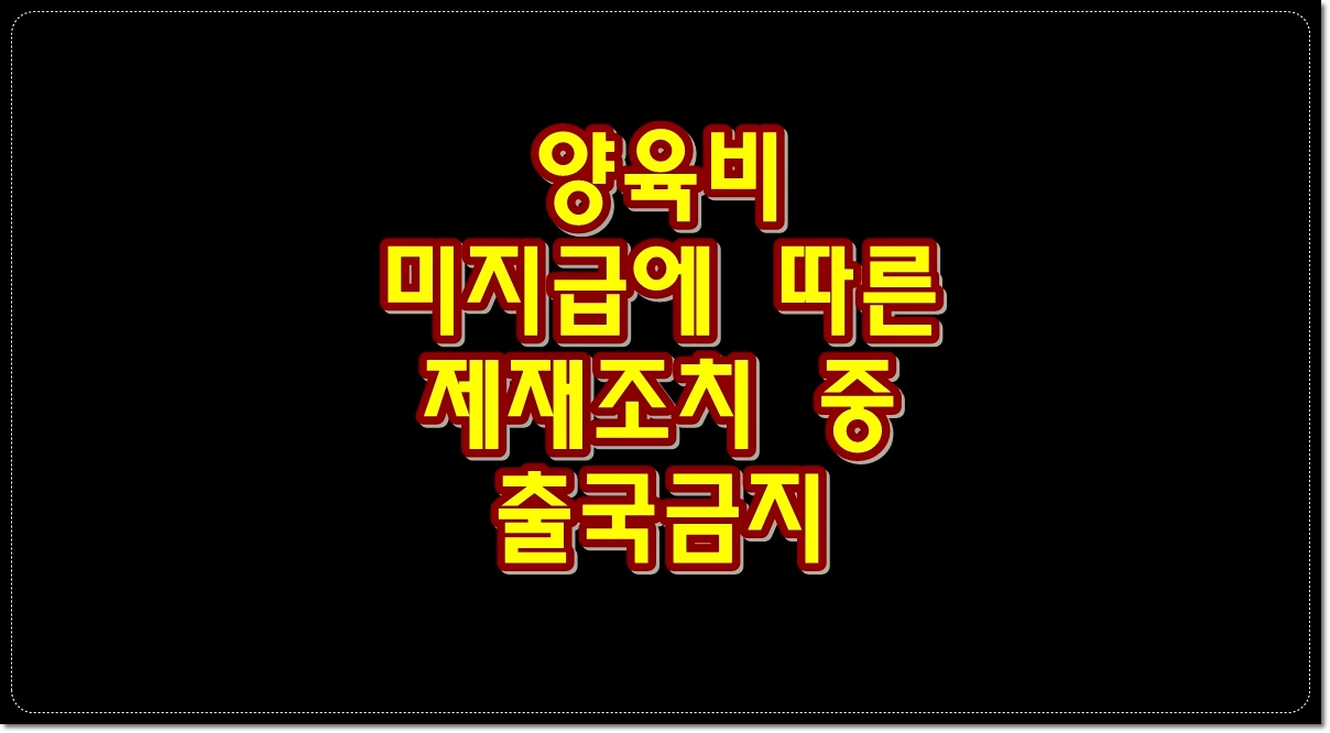 양육비-미지급에-따른-제재조치-중-출국금지